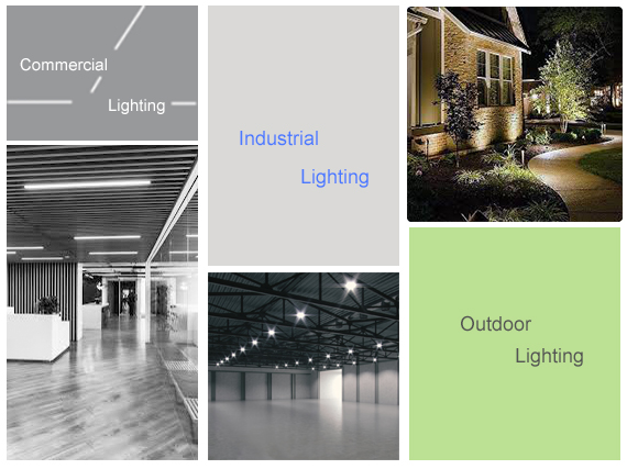 FOSHAN DOZEN LIGHTING CO., LTD.